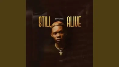 Styve Ace - Twin