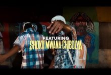 Collabo Na Desiigner & Shokii - Nipandula
