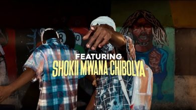 Collabo Na Desiigner & Shokii - Nipandula